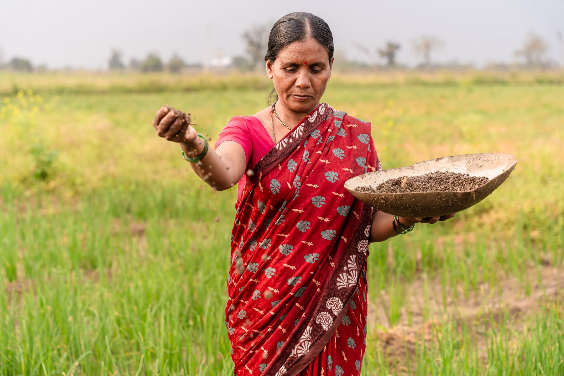 A woman farmer sowing by hand in an Indian field; representative documentary photograph